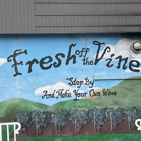 Storefront of Fresh Off The Vine